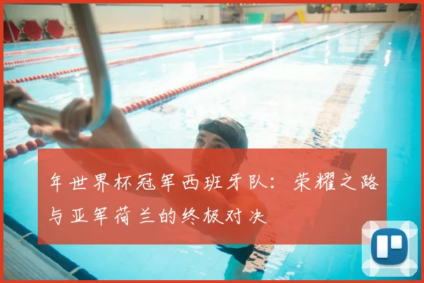 年世界杯冠军西班牙队：荣耀之路与亚军荷兰的终极对决