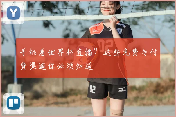 手机看世界杯直播?这些免费与付费渠道你必须知道