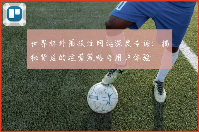 世界杯外围投注网站深度专访：揭秘背后的运营策略与用户体验