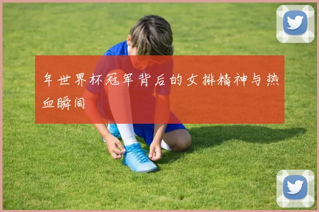 年世界杯冠军背后的女排精神与热血瞬间