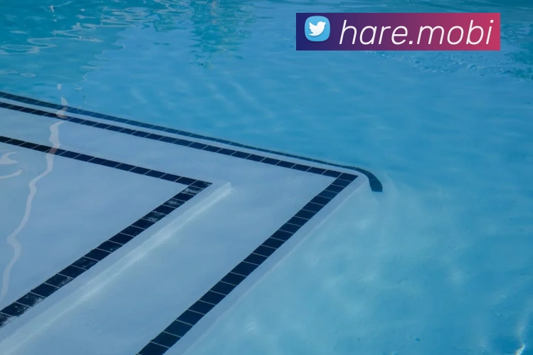 云开体app官网入口品牌故事